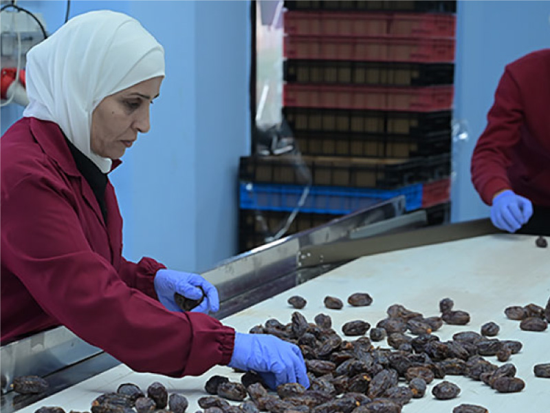 Fasilitas Produksi dan Gudang B2B